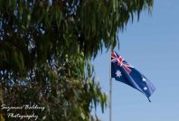 What could be more Australian than our flag sorrounded by gum trees.