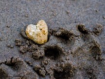 I found a heart on the beach.