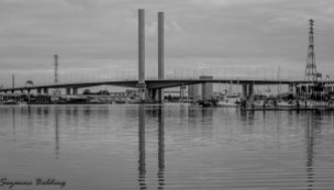 The Bolte Bridge in black and white